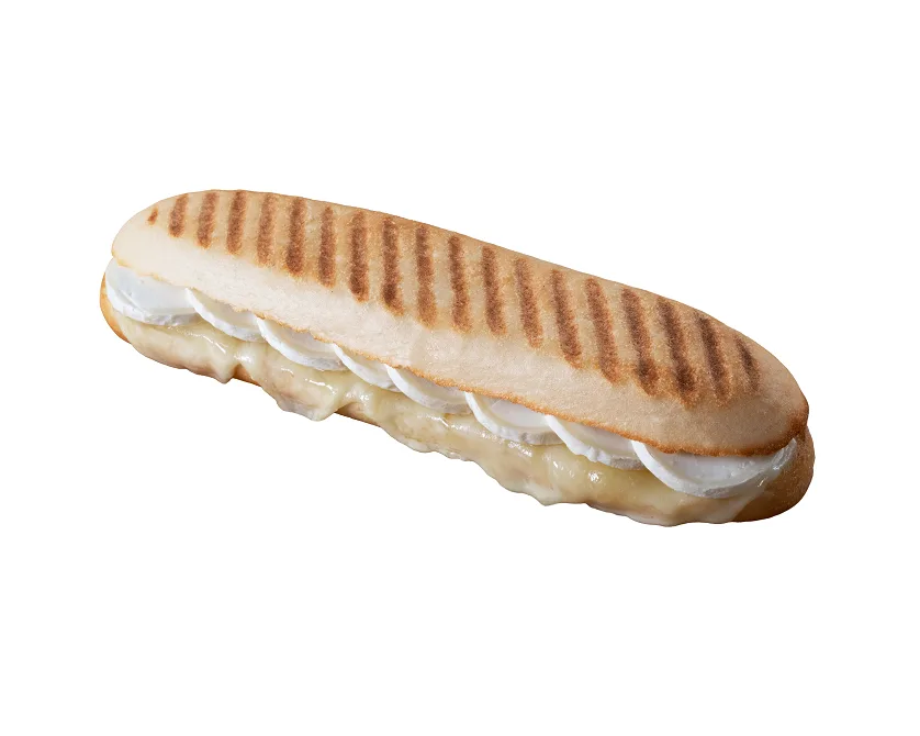 Panini