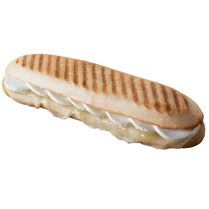 Panini